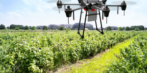 Scaling Agtech in Africa